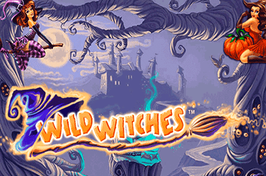 Музей ігрових автоматів спб wild witches ігровий автомат